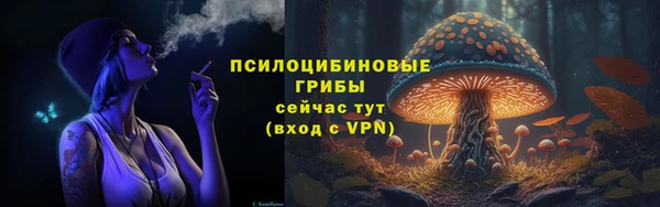 прущая мука Осинники
