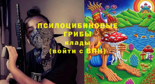 мдпв Бугульма