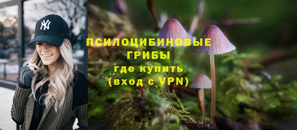 МДПВ Осташков