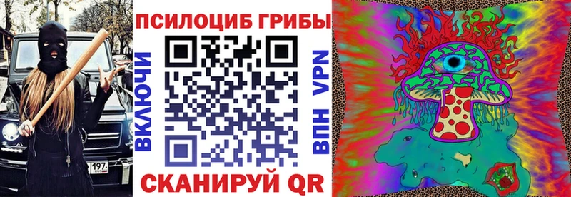 Галлюциногенные грибы Psilocybine cubensis  магазин  наркотиков  Купино 
